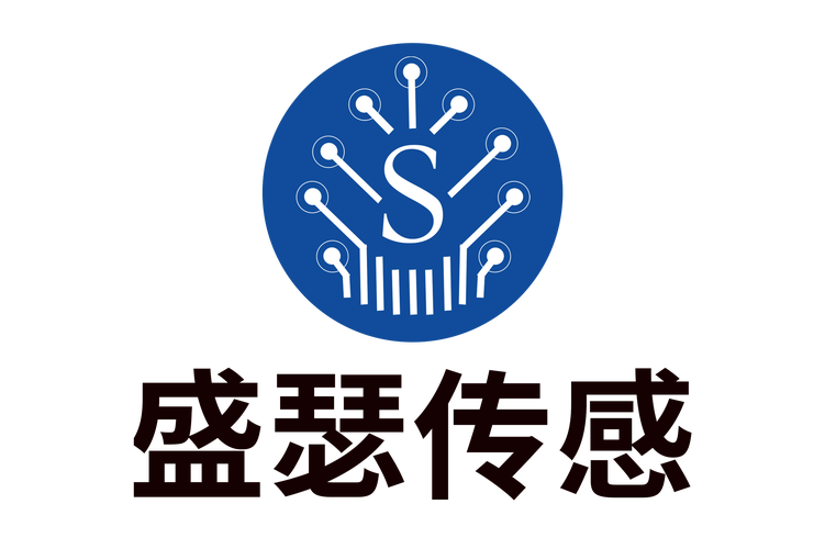 成都盛瑟傳感技術 深耕信息系統集成，賦能智慧未來